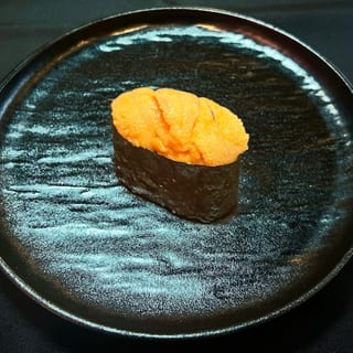 Sea Urchin (maine)
