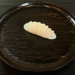 Squid